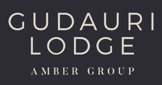 Коттедж Gudauri Lodge отзывы